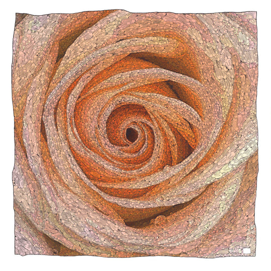 THE SPiRAL