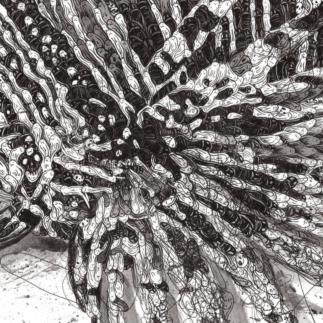 LiONFiSH OF DESTiNY