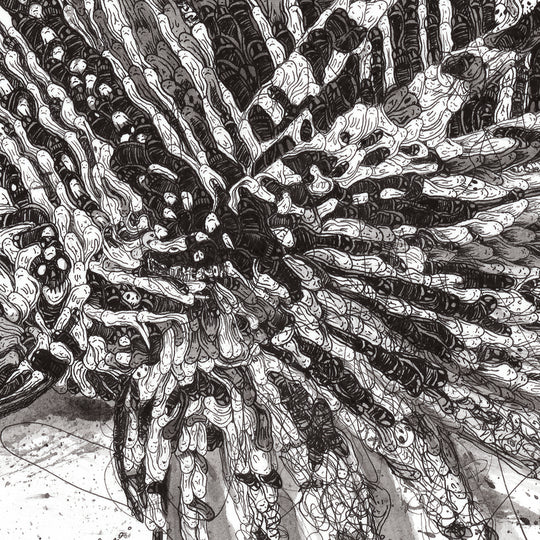 LiONFiSH OF DESTiNY