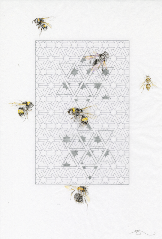 BESS OF PATTERN 1