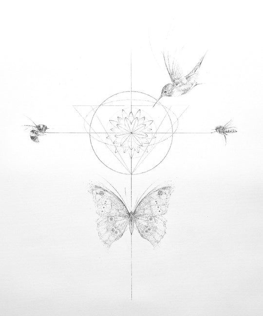 THE POLLiNATORS