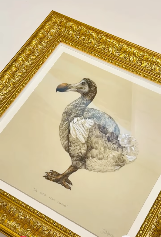 THE DODO FROM OXFORD