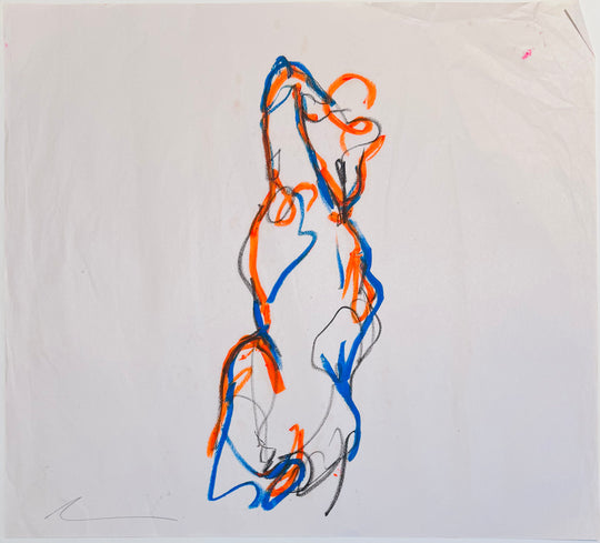 DAVE'S BiCOLOUR LiFE DRAWiNG OBSERVATiONS