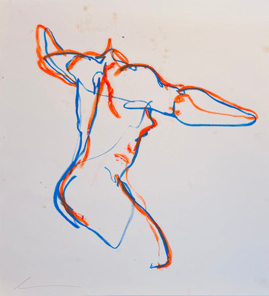 DAVE'S BiCOLOUR LiFE DRAWiNG OBSERVATiONS