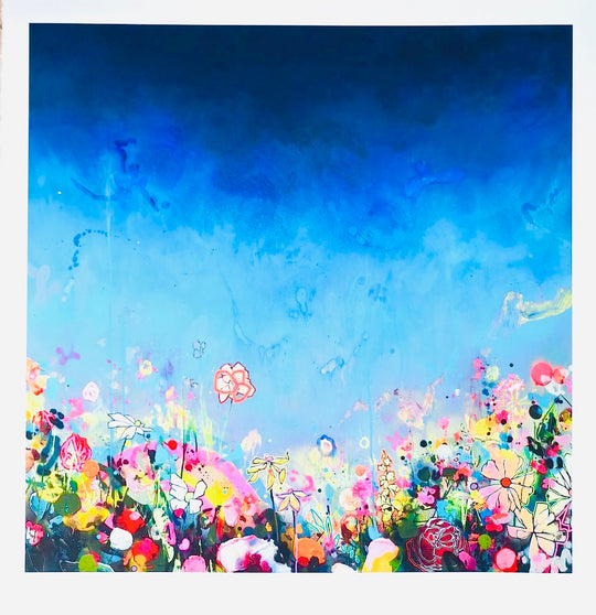 RAiNBOW MEADOW